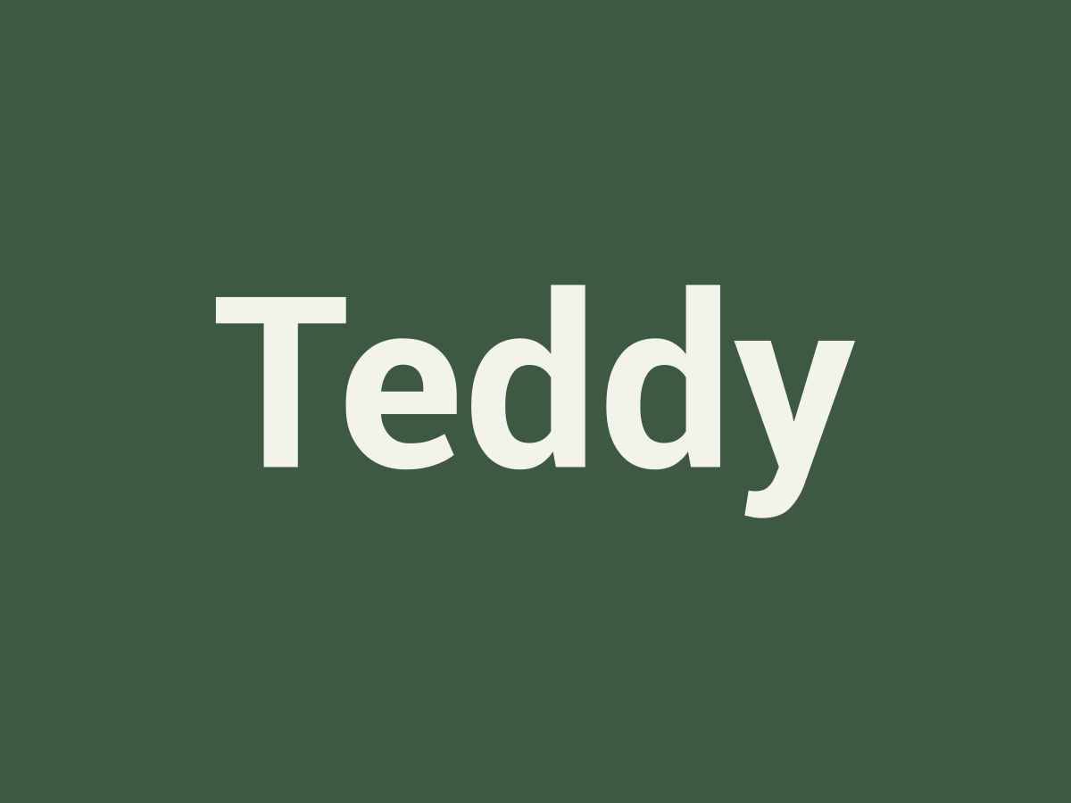 Placeholder Teddy