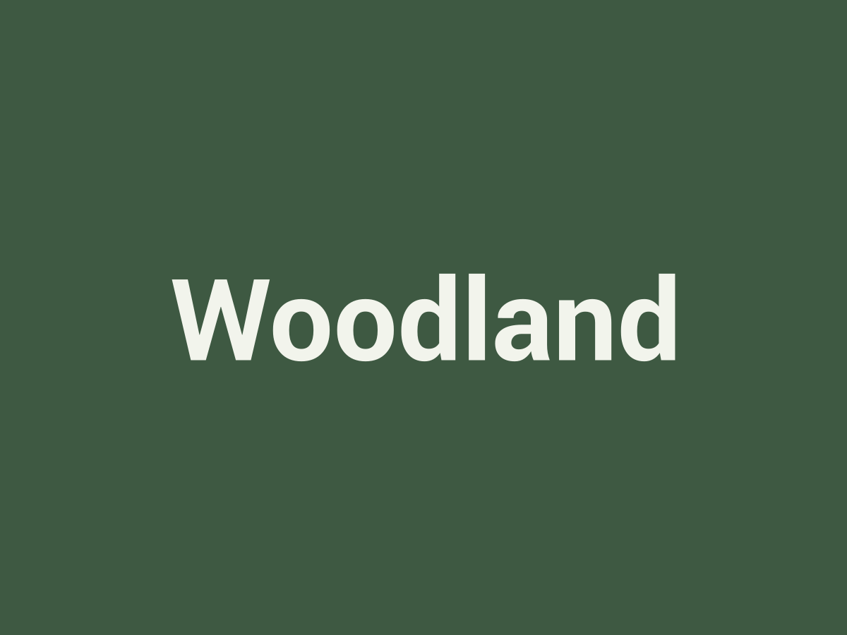 Placeholder Woodland