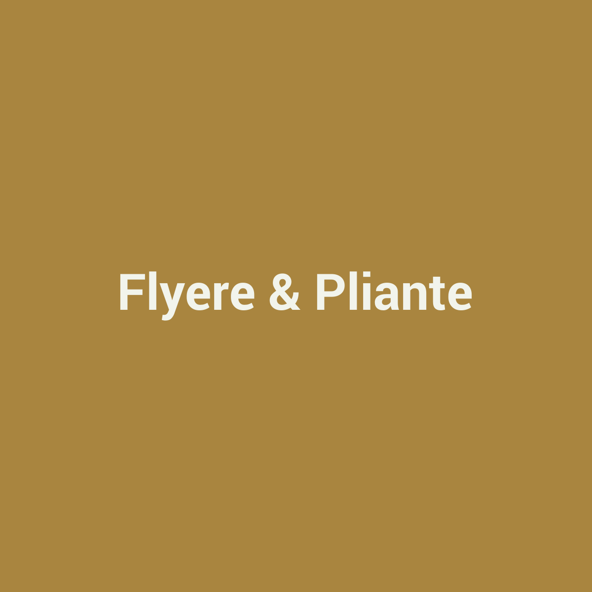 Placeholder Flyere si Pliante